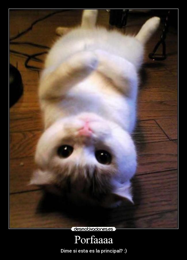 Porfaaaa - Dime si esta es la principal? :)