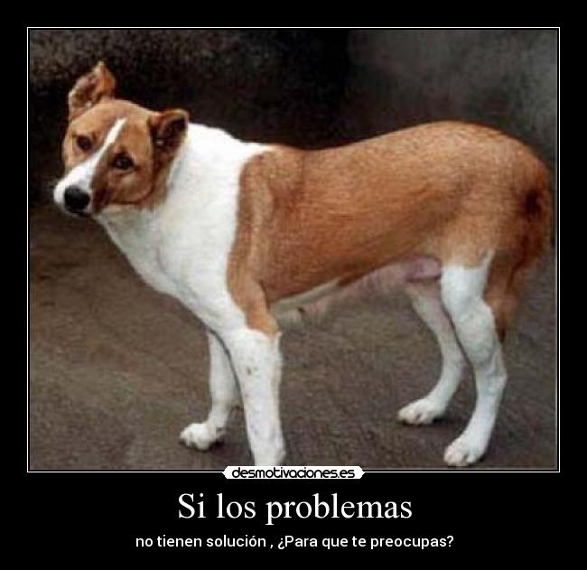 Si los problemas - no tienen solución , ¿Para que te preocupas?