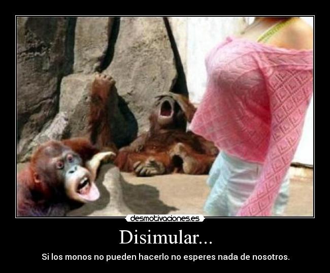 Disimular... -