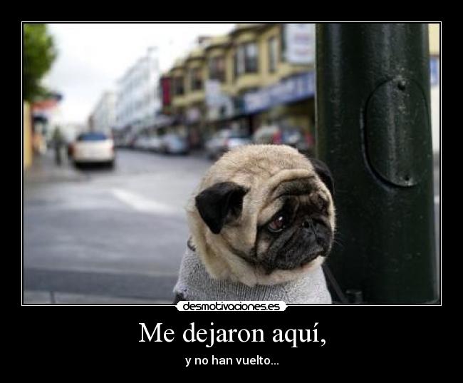 Me dejaron aquí, - y no han vuelto...