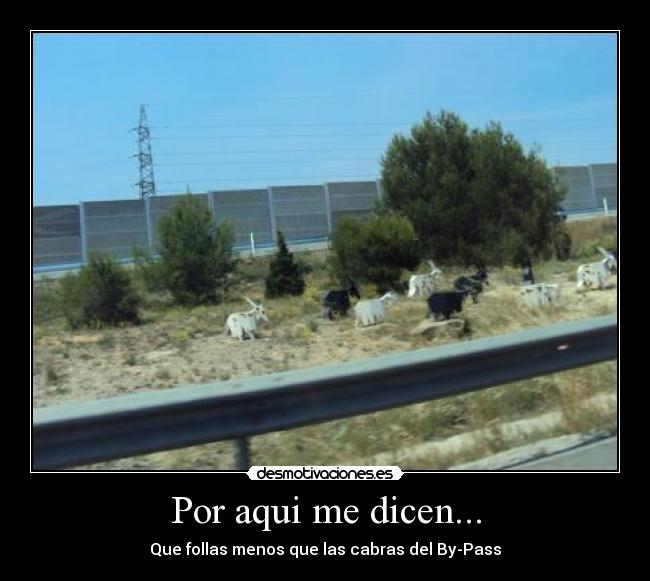 Por aqui me dicen... -