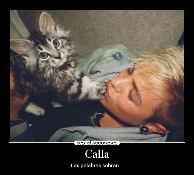 Calla -
