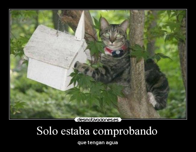 carteles walt_kengland spungo wise_mentalist0001 first _isma_ desmotivaciones