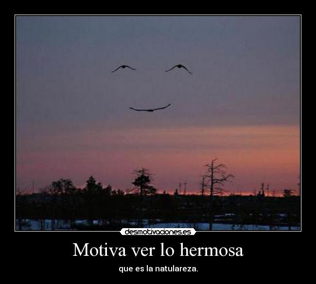 Motiva ver lo hermosa - que es la natulareza.