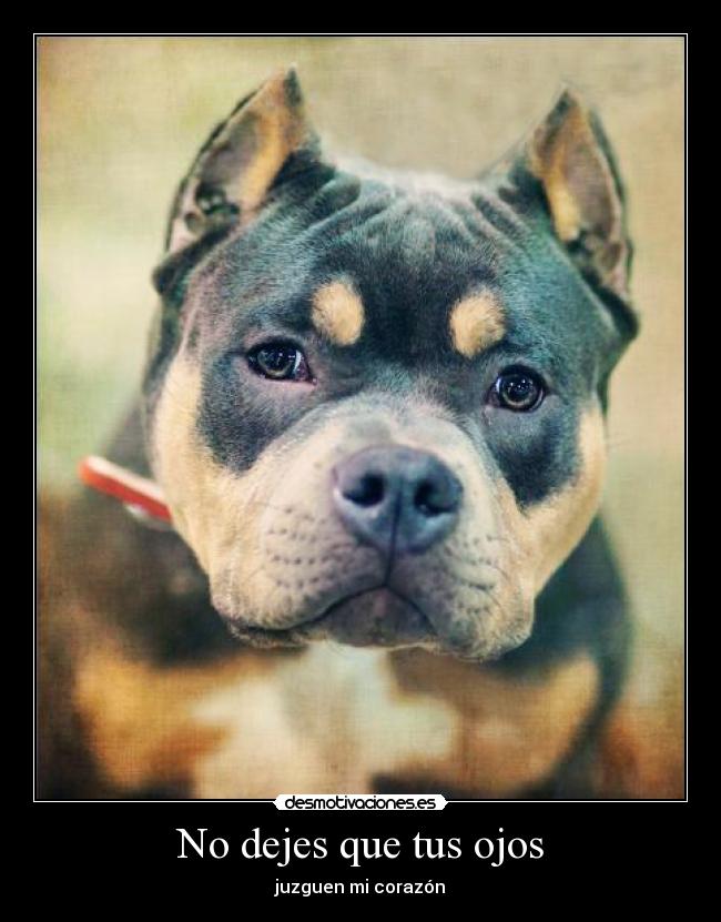 No dejes que tus ojos -
