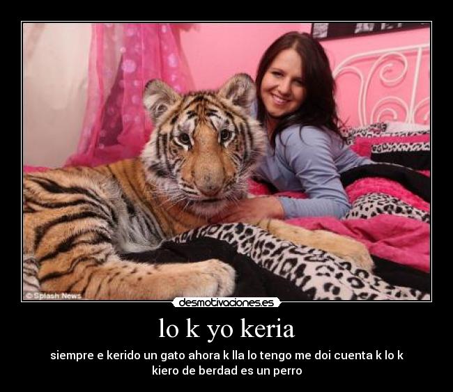 carteles paratodos los gustos desmotivaciones