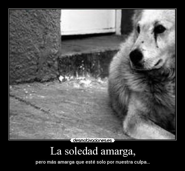 La soledad amarga, -
