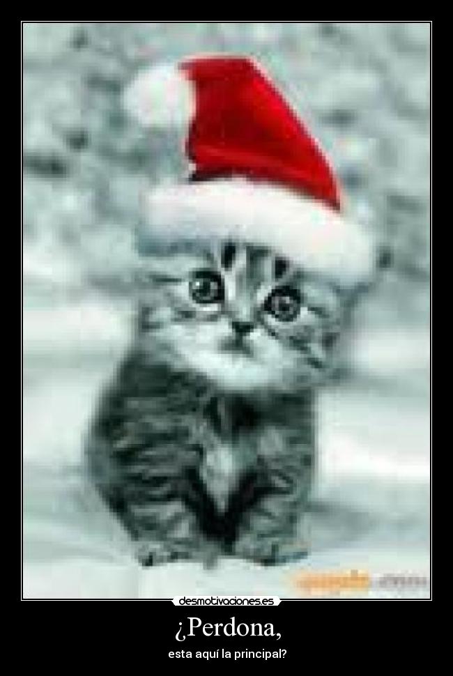 ¿Perdona, - esta aquí la principal?