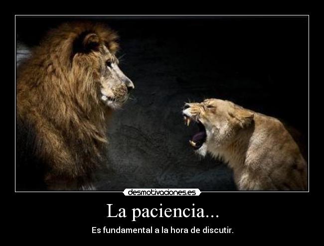 La paciencia... - 
