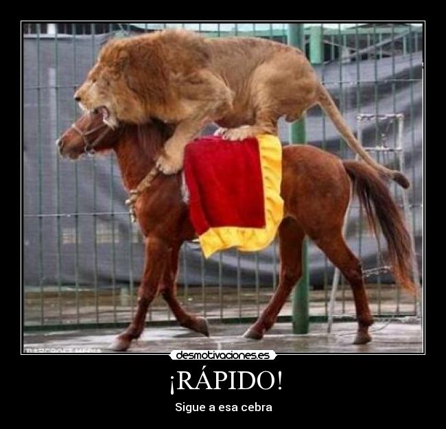 ¡RÁPIDO! - 