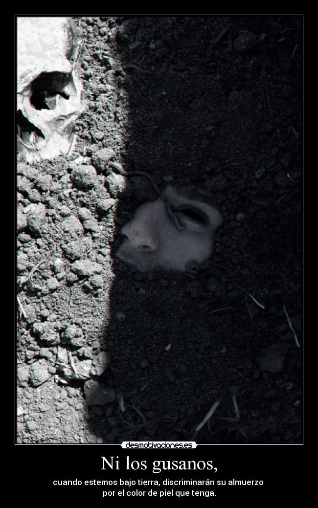 Ni los gusanos, -