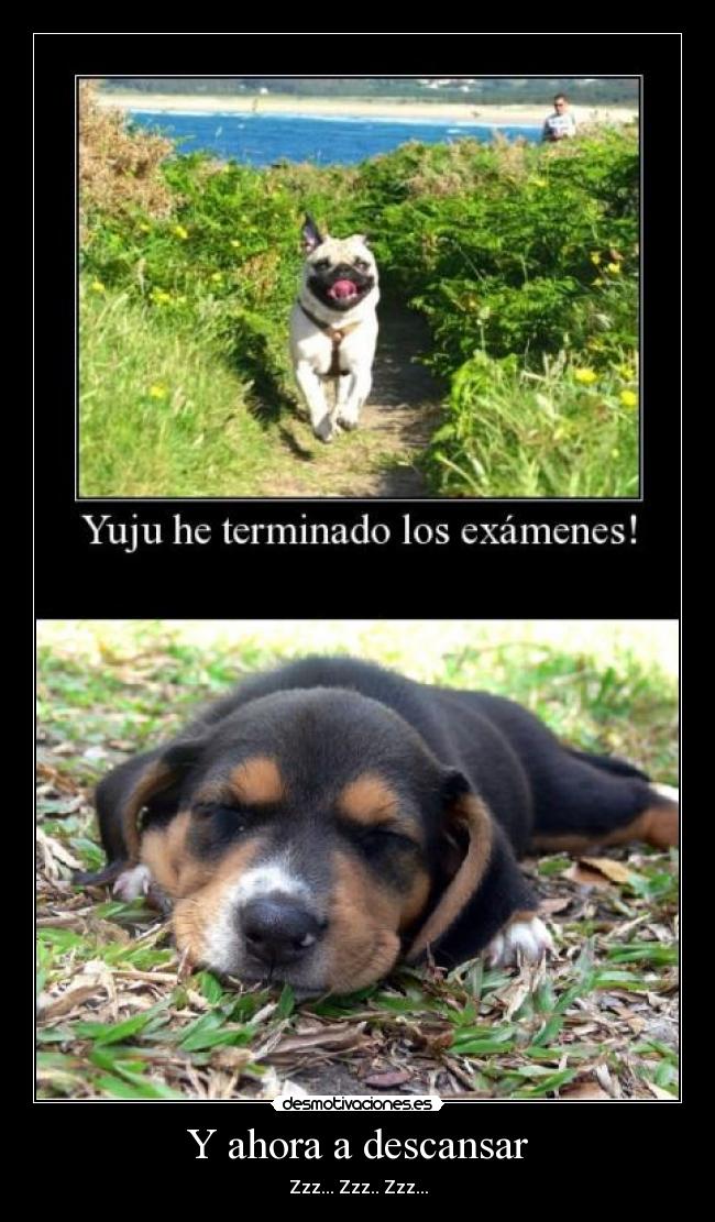 Y ahora a descansar - 