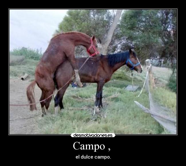 Campo , - el dulce campo.