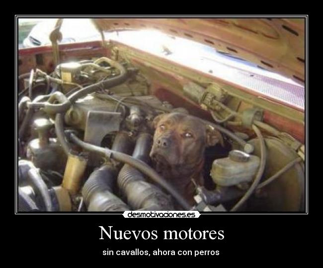 Nuevos motores - sin cavallos, ahora con perros 