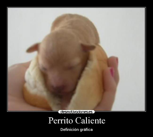 Perrito Caliente -