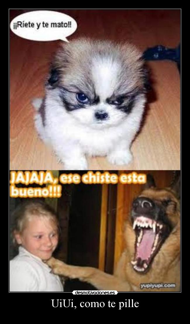 UiUi, como te pille -