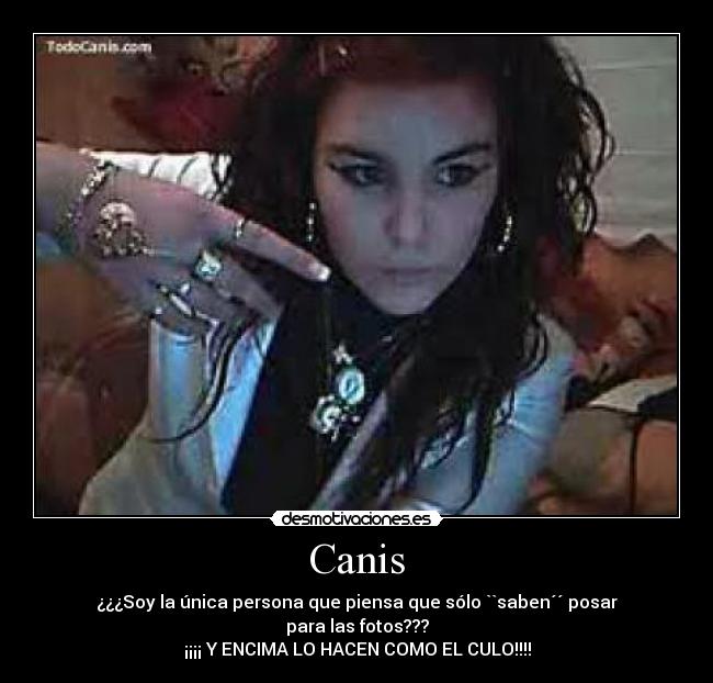Canis - ¿¿¿Soy la única persona que piensa que sólo ``saben´´ posar para las fotos???
¡¡¡¡ Y ENCIMA LO HACEN COMO EL CULO!!!!