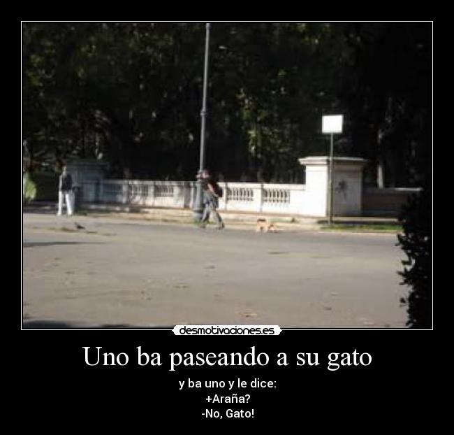 Uno ba paseando a su gato - y ba uno y le dice:
+Araña?
-No, Gato!