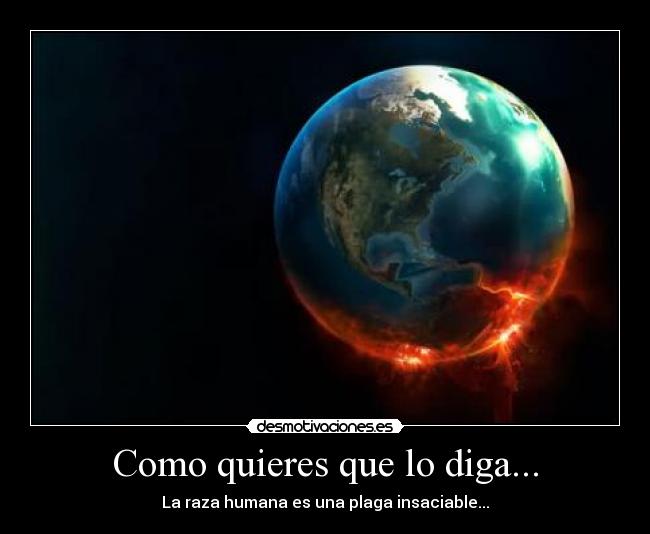 carteles como quieres que diga desmotivaciones