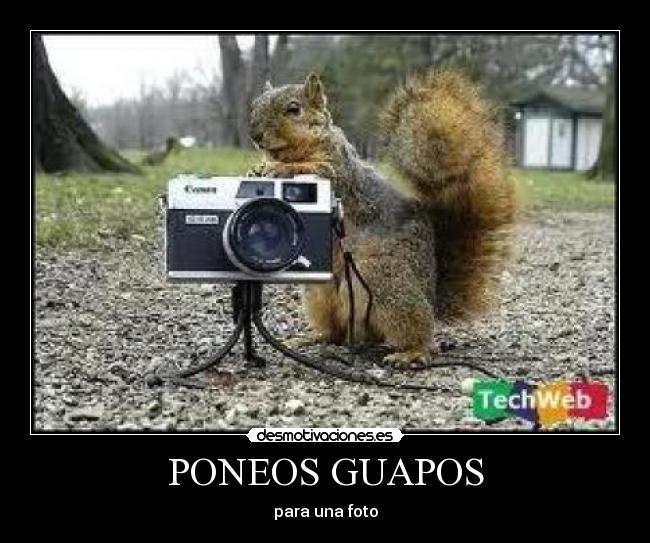 PONEOS GUAPOS - 