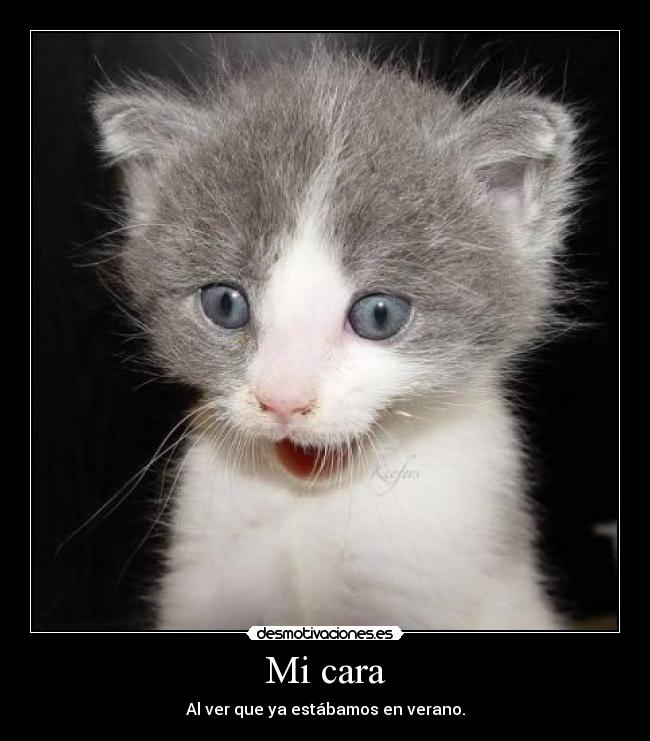 Mi cara - 