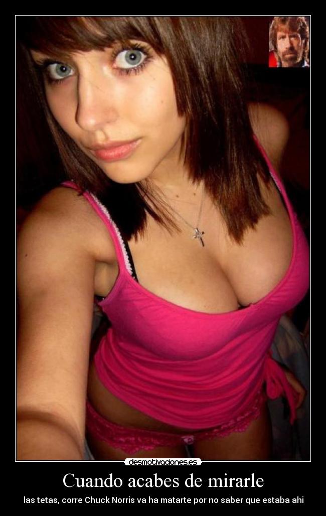 Cuando acabes de mirarle - las tetas, corre Chuck Norris va ha matarte por no saber que estaba ahi
