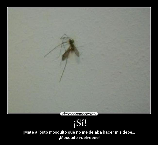 ¡Sí! - ¡Maté al puto mosquito que no me dejaba hacer mis debe...
¡Mosquito vuelveeee!