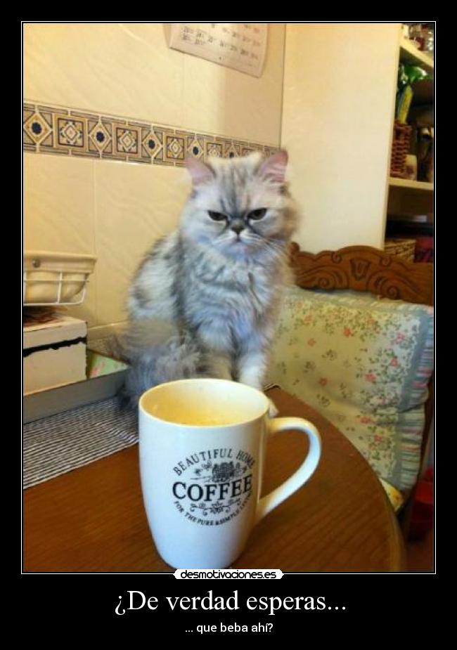¿De verdad esperas... -