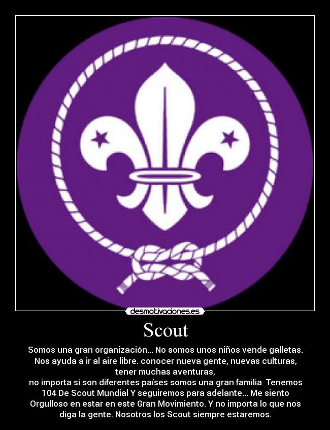 Scout - 