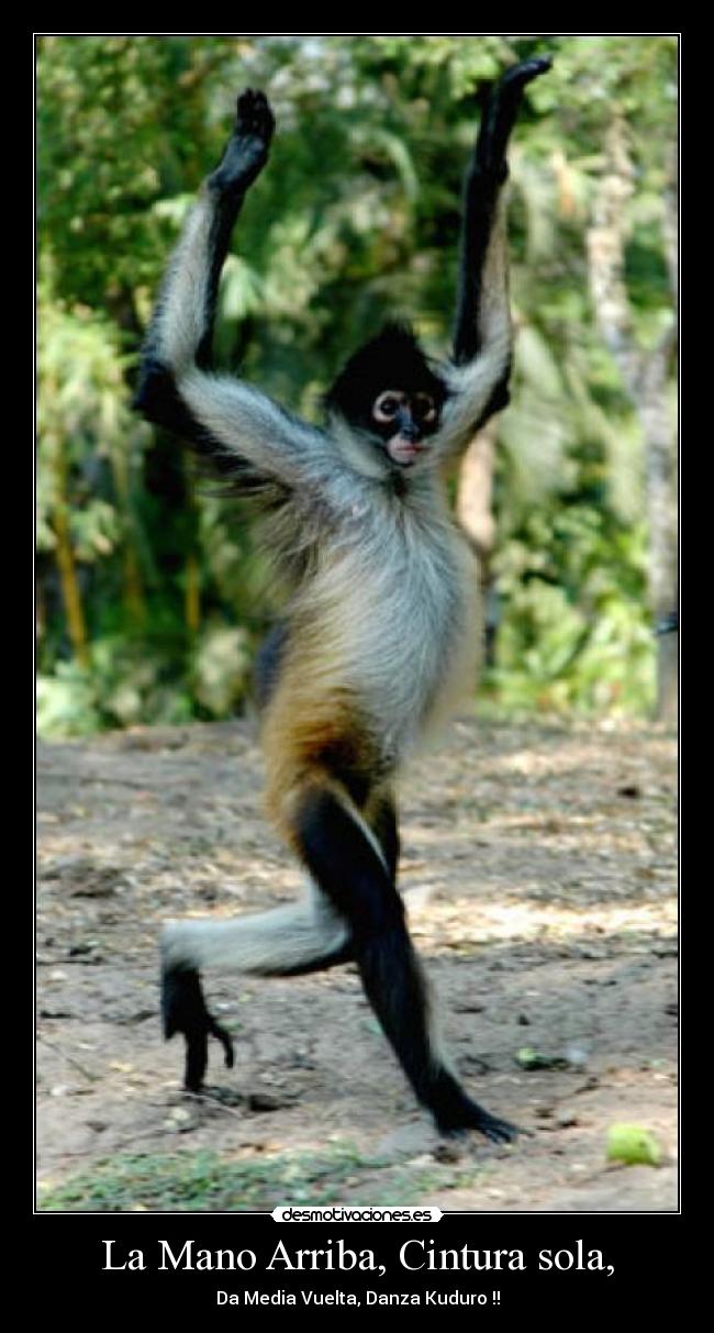 La Mano Arriba, Cintura sola, -