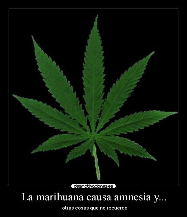 La marihuana causa amnesia y... -   otras cosas que no recuerdo