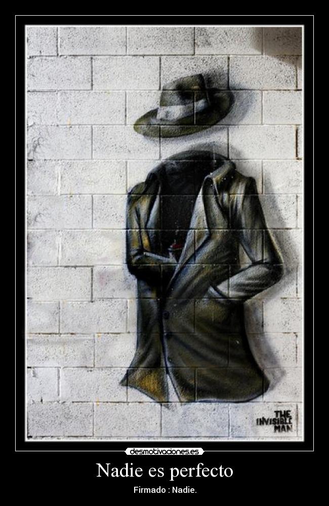 Nadie es perfecto -