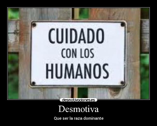 Desmotiva - 