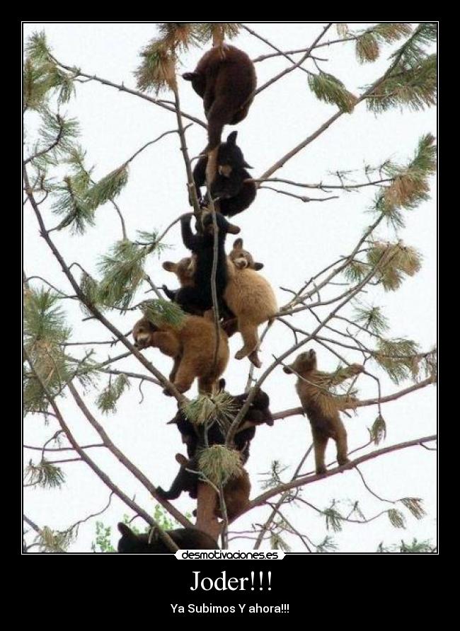 carteles joder subimos ahora desmotivaciones