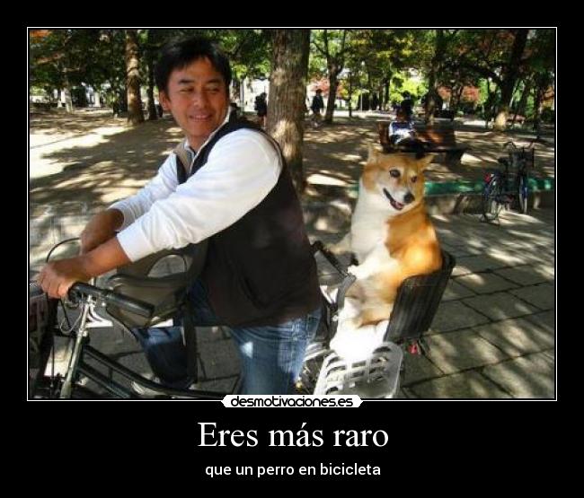 Eres más raro - que un perro en bicicleta