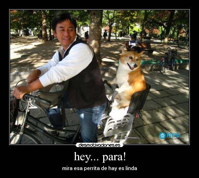 hey... para! -