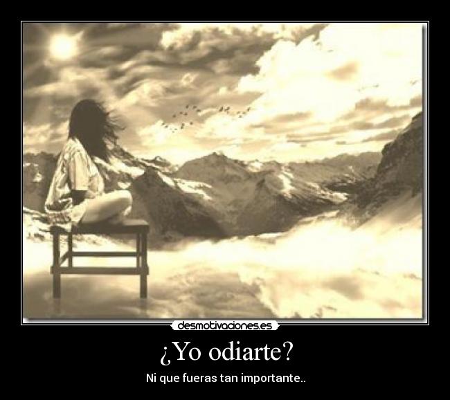¿Yo odiarte? - Ni que fueras tan importante..