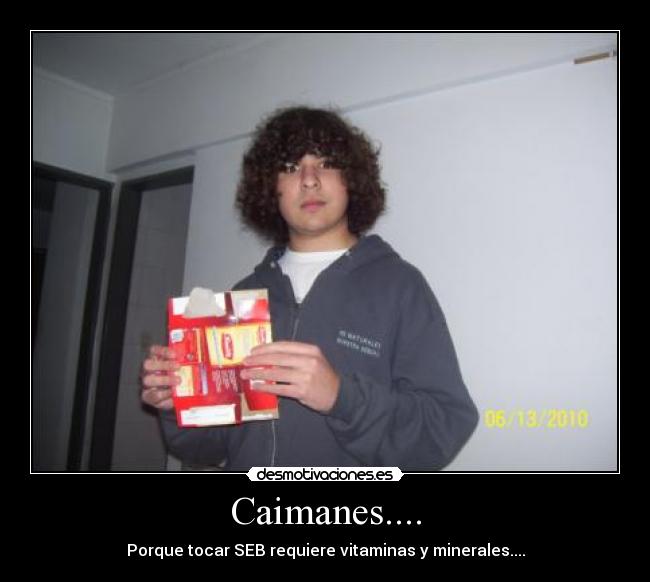 Caimanes.... -