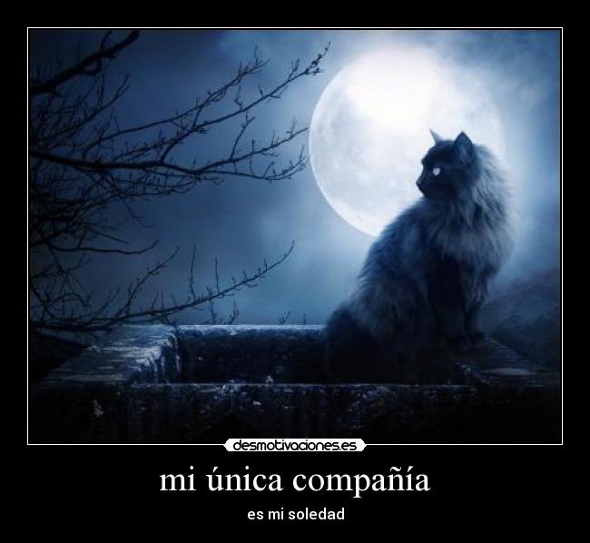 mi única compañía - 