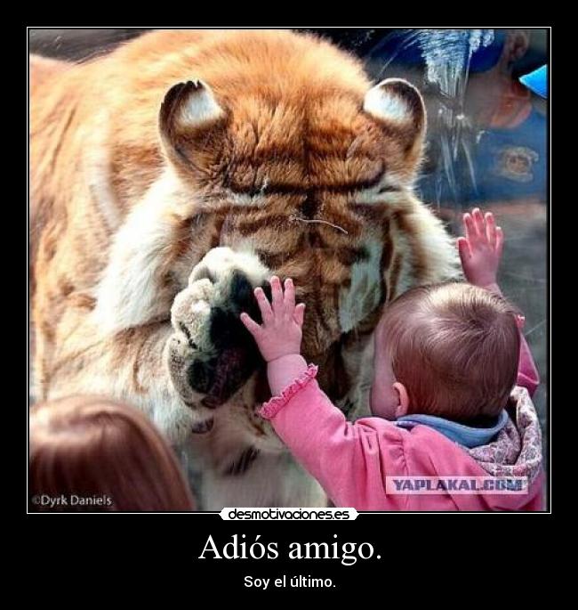 Adiós amigo. - 