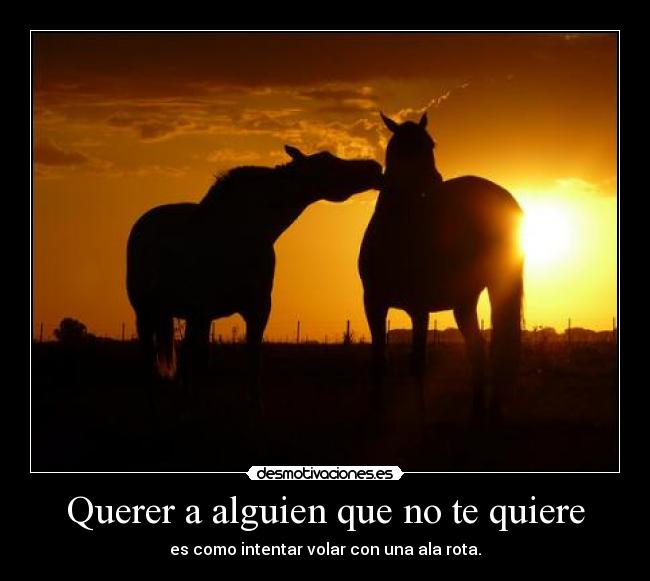 Querer a alguien que no te quiere - 