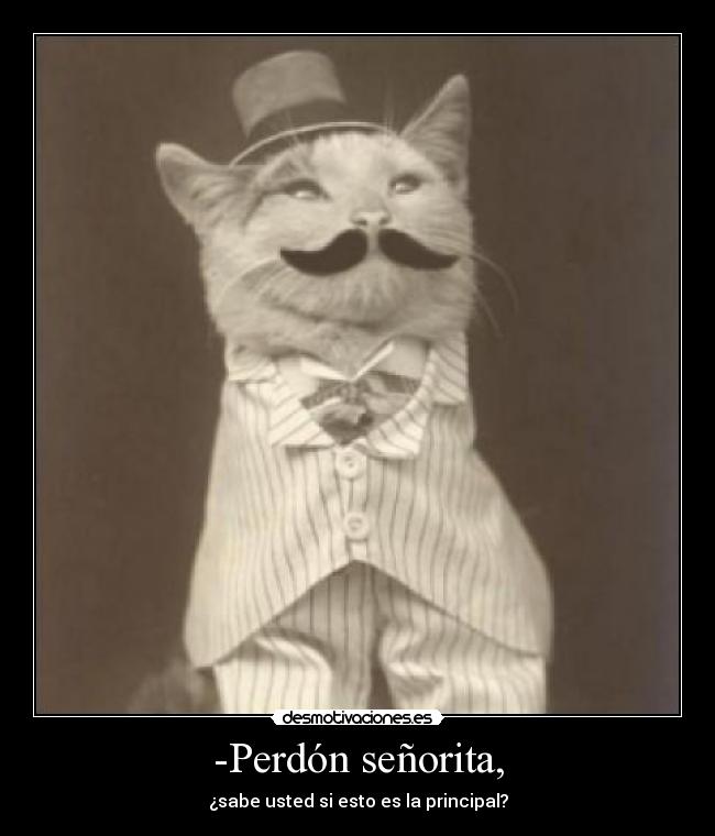 -Perdón señorita, - 