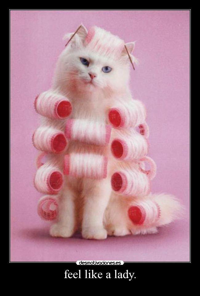  feel like a lady.  -   