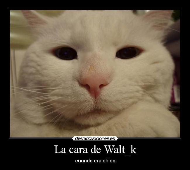 La cara de Walt_k - cuando era chico