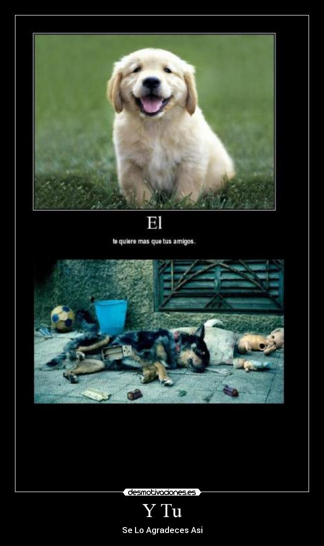 Y Tu - Se Lo Agradeces Asi