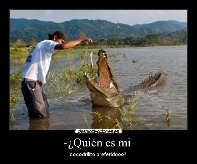 -¿Quién es mi - cocodrilito preferidooo?