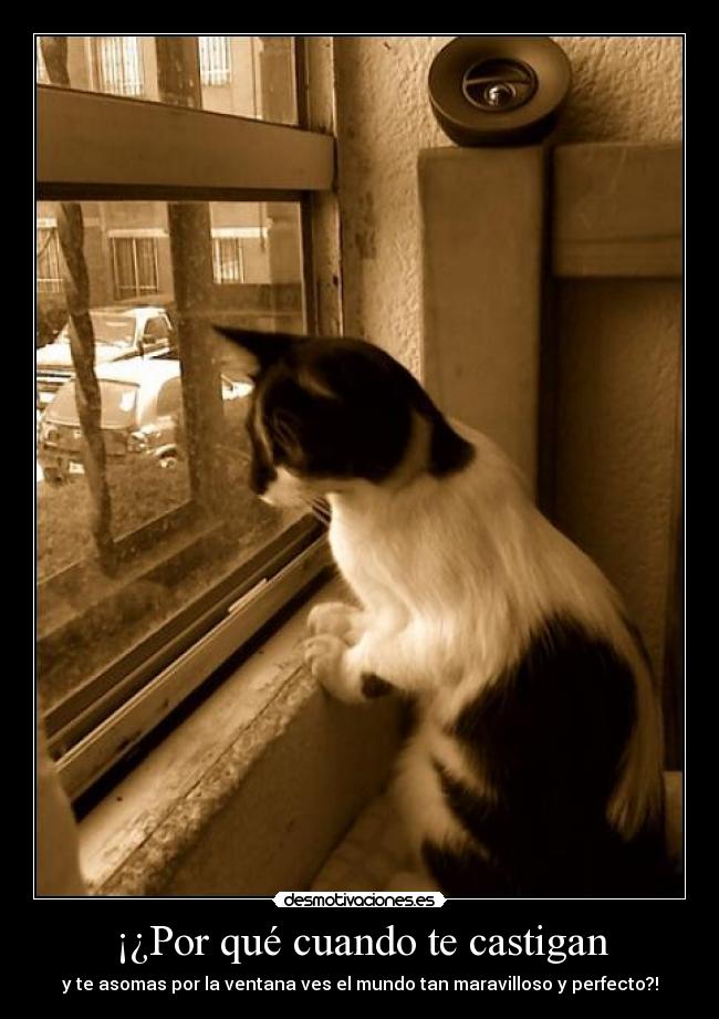 carteles porque cuando castigan desmotivaciones