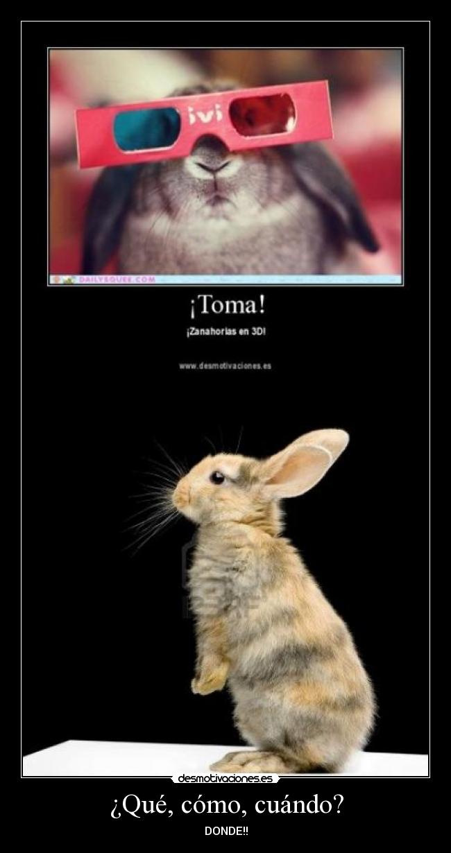 ¿Qué, cómo, cuándo? -