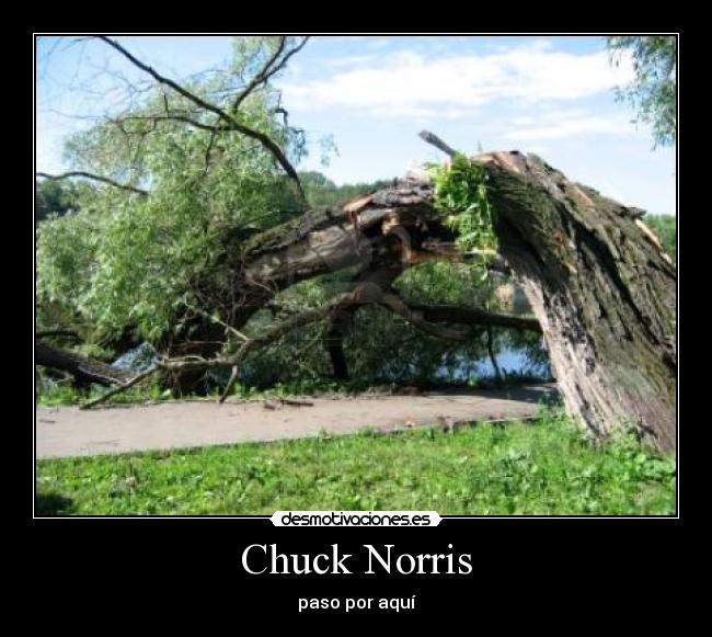 Chuck Norris - 