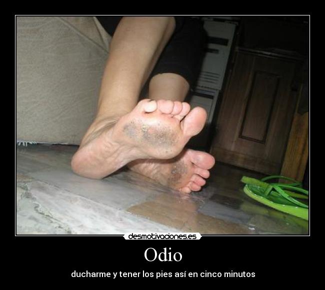 Odio -
